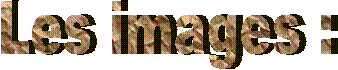 Les images :